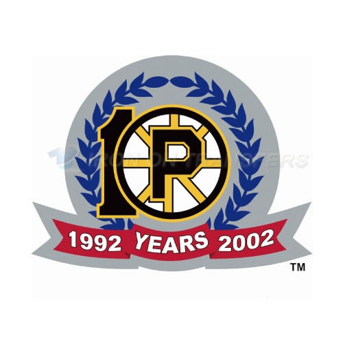 Providence Bruins Iron-on Stickers (Heat Transfers)NO.9116